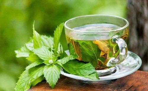 Korisna svojstva čaja s malinama za prehladu