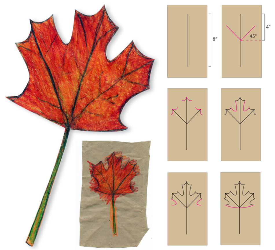 Como desenhar uma folha de bordo em estágios com um lápis para iniciantes? Folha de maple do outono: padrão, padrão