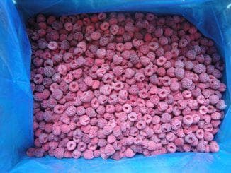 frozen berry raspberries