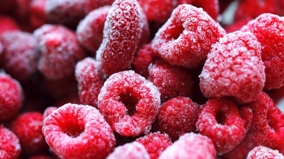 Can raspberries be pregnant? Raspberry leaves during pregnancy, pregnancy planning and before birth: benefits and contraindications