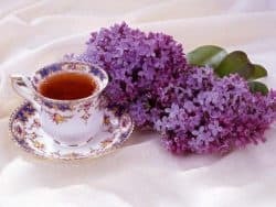 lilac in tea