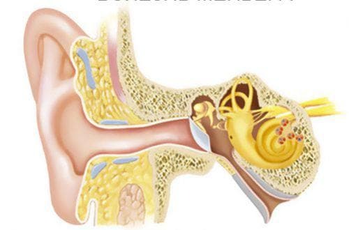 Causes and symptoms of diseases of the inner ear