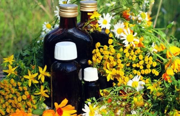 Herbal medicinal herbs for inhalations