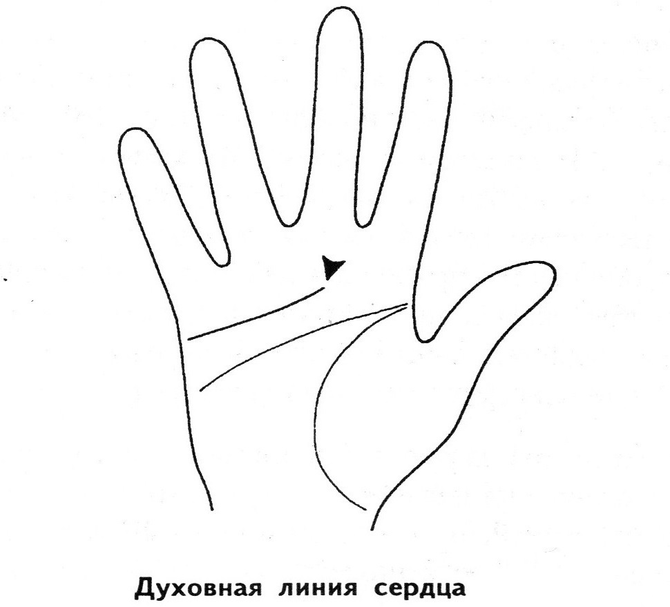 Heart line on the palm of the hand of women, men, children: which means, on which hand is located - photo. The meaning of intersections, ruptures, bifurcations, branches, triangle, square, parallel lines of the heart line in palmistry, divination: decoding
