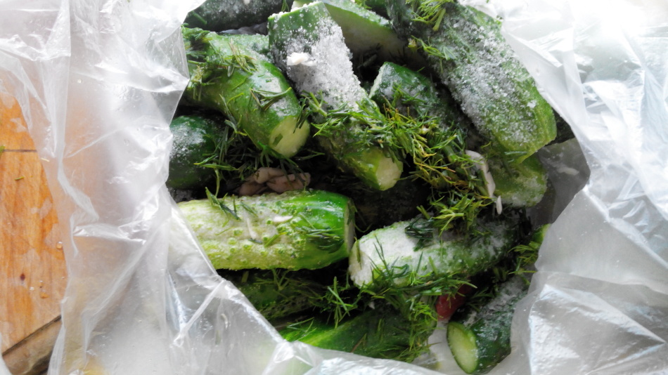 Licht gezouten komkommers in het pakket. Hoe de vers gezouten komkommers 2 uur in een pakket te zouten?