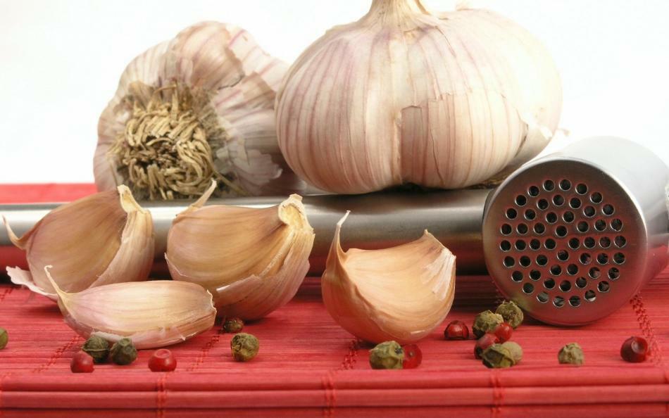 Tutto su aglio. Proprietà utili e medicinali dell'aglio. Ricette tradizionali con aglio