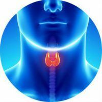 How does thyroid cancer, its symptoms and treatment
