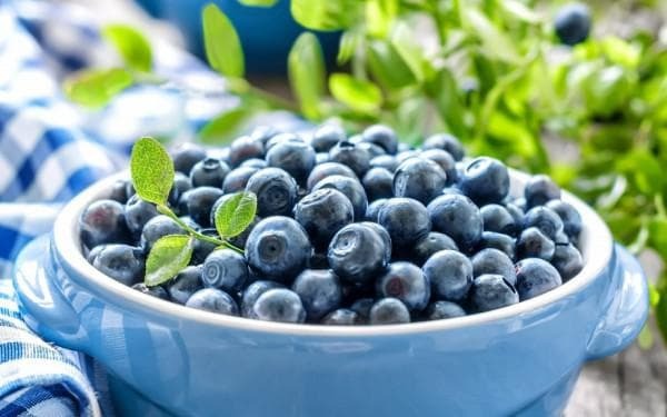 Blueberries for treatment of sore throats