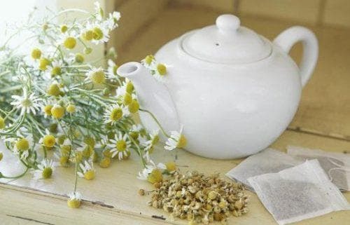 infusion of chamomile for internal administration
