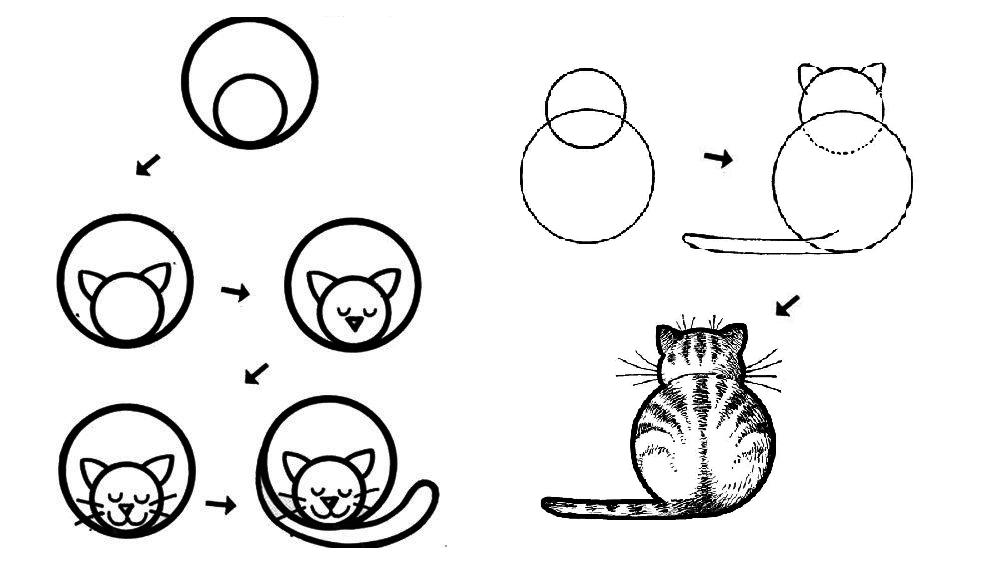 Come disegnare un gatto, gattino? Disegni a matita semplice in fasi per principianti