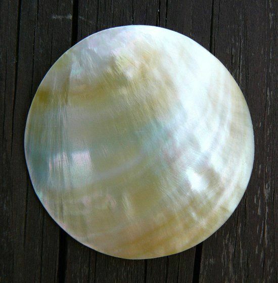 Stone mother-of-pearl and its properties