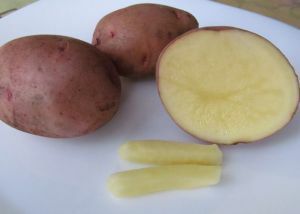 candles from potatoes from hemorrhoids