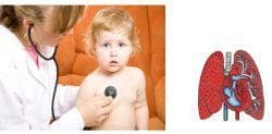 sistemul respirator la un copil