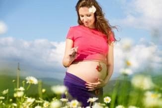 chamomile for a pregnant woman