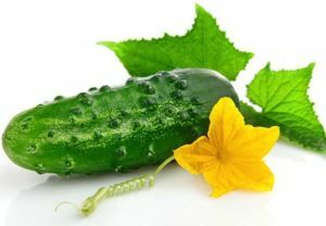 cucumber properties