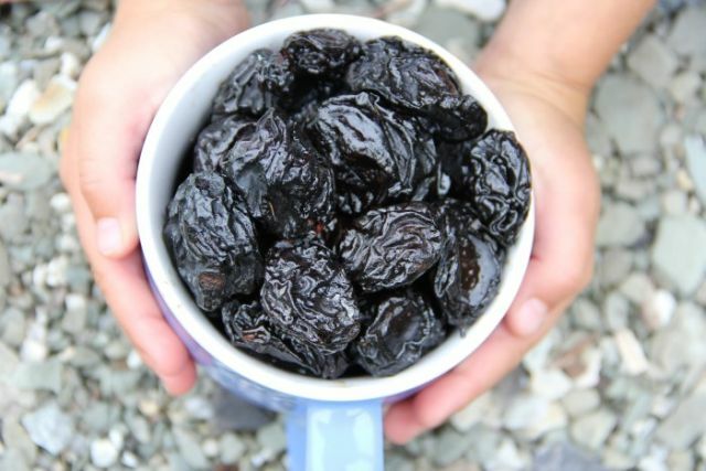 The use of prunes and other dried fruits for constipation and hemorrhoids