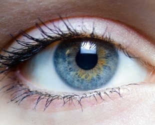Fucitalmic - pengobatan infeksi mata yang cepat pada pasien dari segala umur