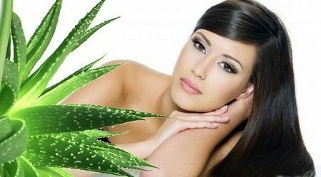 Aloe juice will give your hair health, strength and beauty