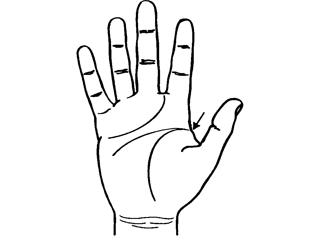 Linha de vida na palma das mãos de mulheres, homens e crianças: o que significa, em que mão é - uma foto. O significado de interseções, lágrimas, bifurcações, ramos, triângulos, quadrados, linhas paralelas da linha de vida em quiromancia, adivinhação: decodificação
