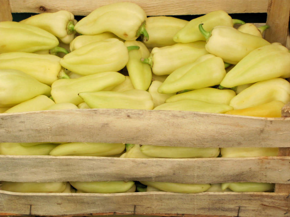Jak przechowywać warzywa i owoce w piwnicy? Jak przechowywać marchew, buraki, jabłka, ziemniaki, arbuzy, rzepy, kapustę, czosnek, winogrona w zimowej piwnicy?