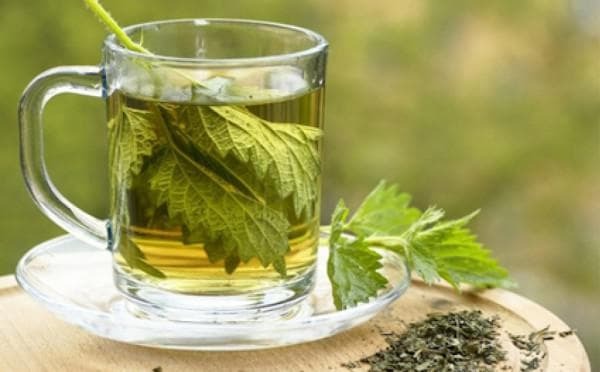 nettle from a cough