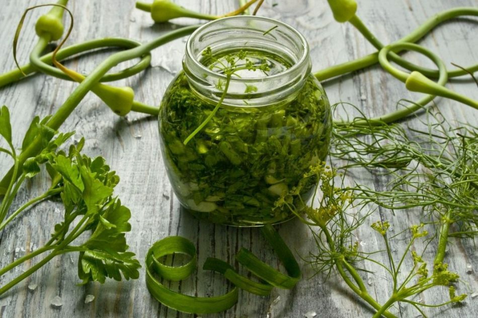 Assaisonnements pour les premiers et seconds plats des verts pour l'hiver: les meilleures recettes et secrets de cuisine
