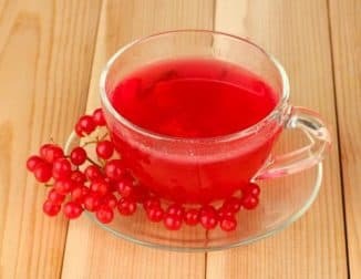 tea with berries of a guelder-rose from a cough