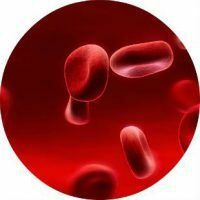 Što znači značenje niskog broja krvnih pločica i kako ga podići?