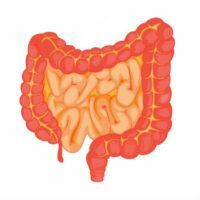 Causas, síntomas y tratamiento del síndrome del intestino irritable