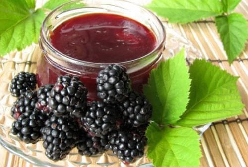 infusion of blackberry leaves with pharyngitis in pregnant women