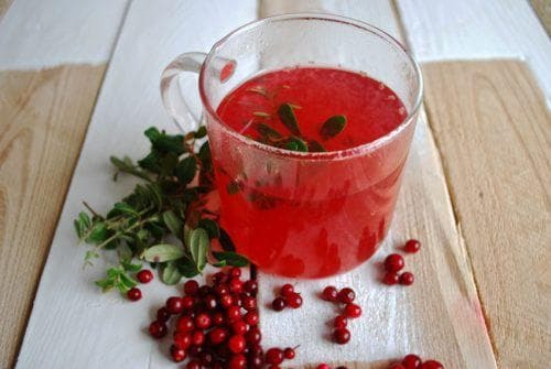 cowberry infusion