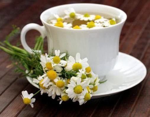 a decoction of chamomile flowers for gargling.