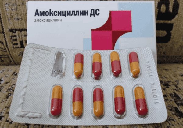 Features of amoxicillin during angina