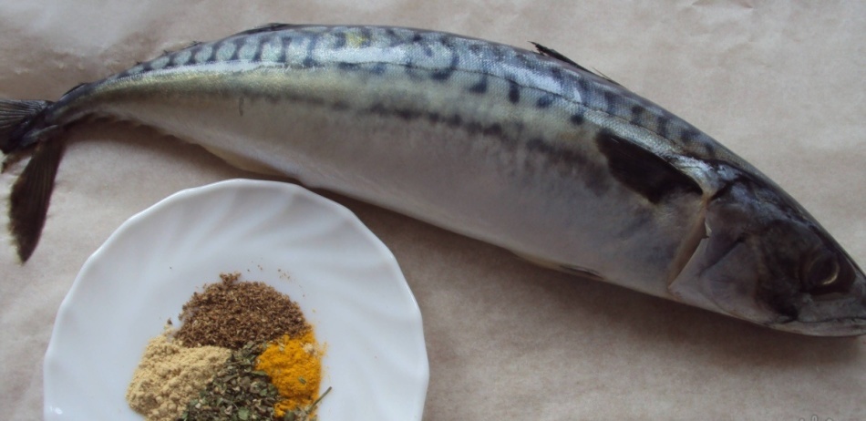 How delicious to pick up mackerel spicy salting, vinegar, mustard at home? How quickly to pick up mackerel for hot and cold smoking?