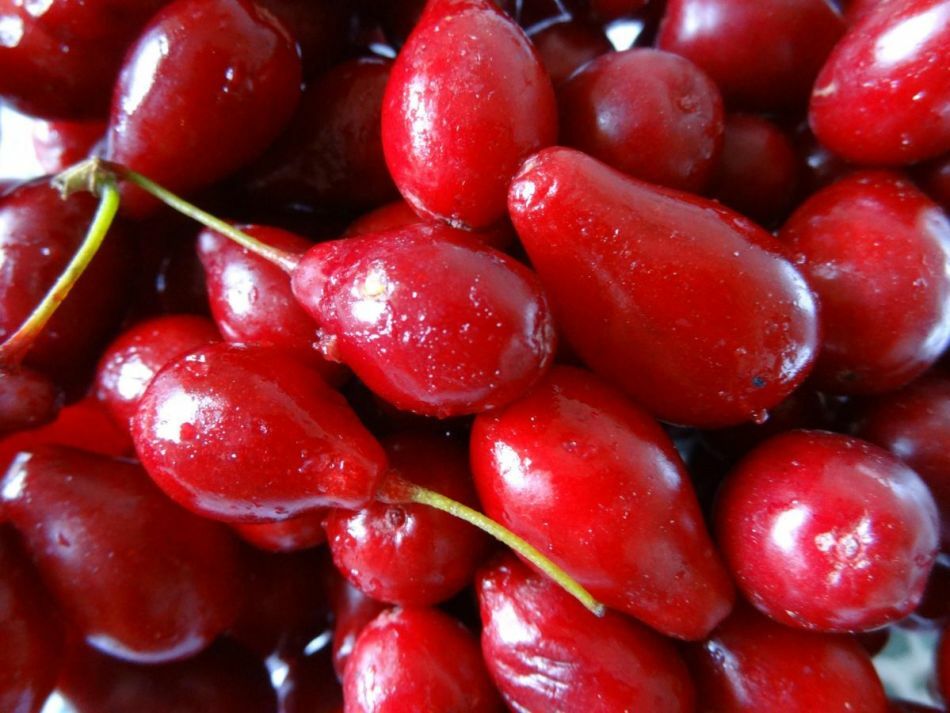 Calorisk indhold af frugt og bær. Kalorie bord pr. 100 gram