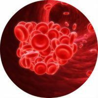 What does the high blood platelet count mean?