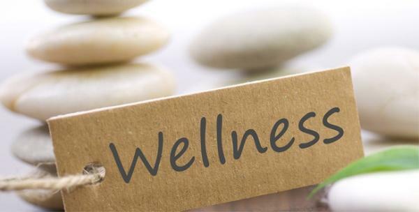 Co je wellness: 7 základních principů