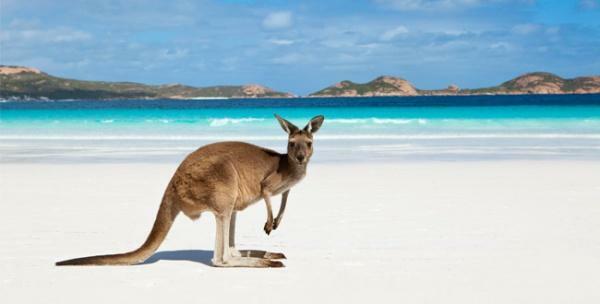 Slik flytter du til Australia: 5 juridiske måter