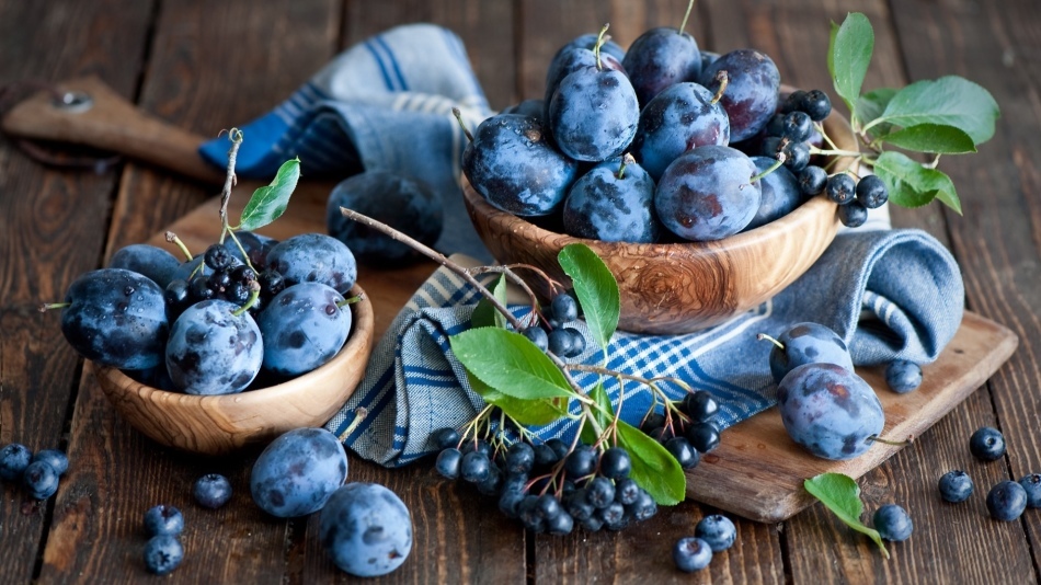 Buah blueberry: khasiat dan kontraindikasi yang berguna. Vitamin Bilberry Forte - petunjuk penggunaan