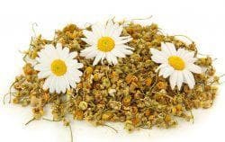 chamomile for ear compresses