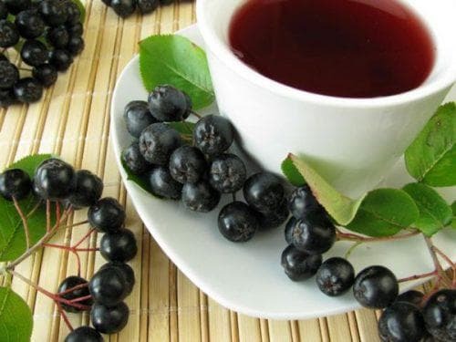 berries of black mountain ash in tea