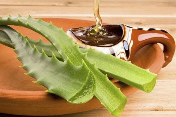 Aloe and honey from coughing