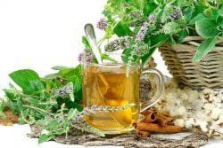 xai of medicinal herbs