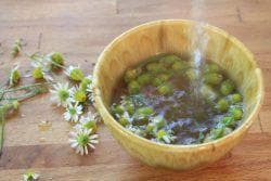 chamomile for home treatment