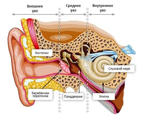zapalenie ucha środkowego