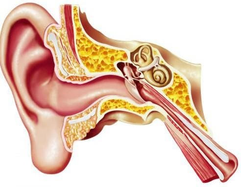 דלקת האוזן החיצונית