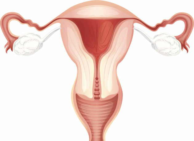 Lochiometro dopo il parto: sintomi, trattamento, recensioni