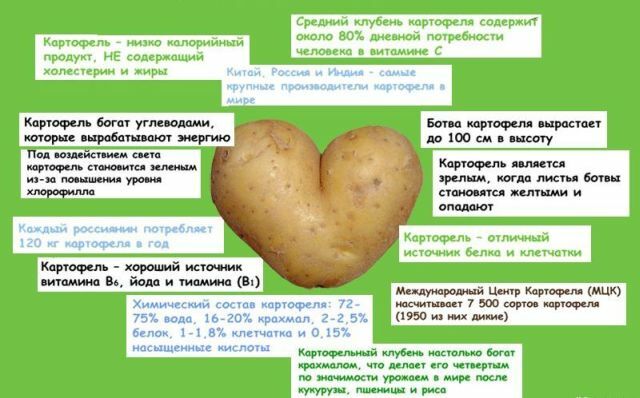 Properties of potatoes