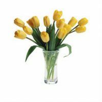 Hvordan bryr seg om tulipaner i en vase