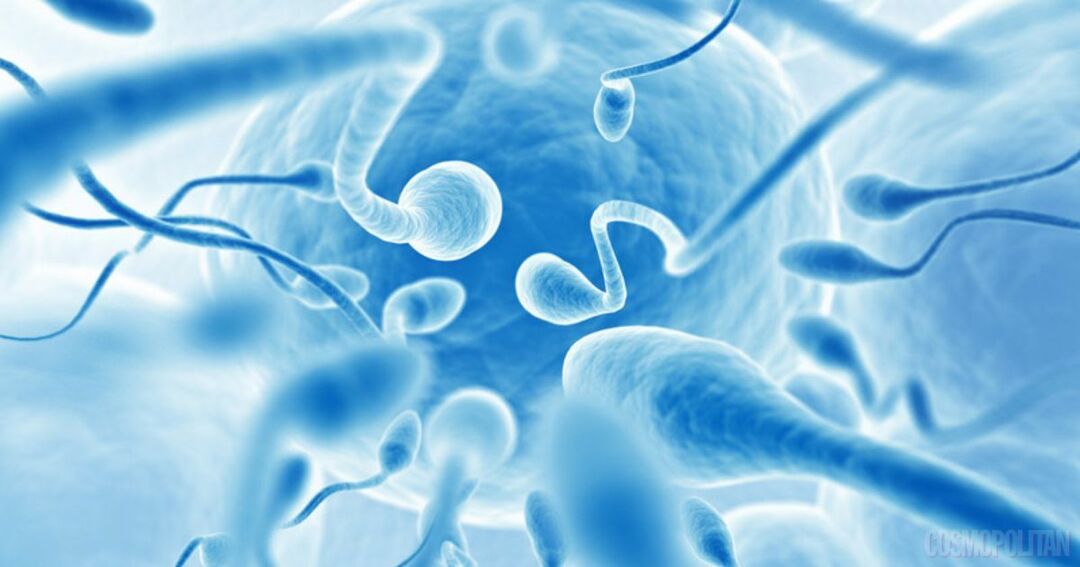 Hvad er oligospermi eller hypospermi? Er graviditet muligt? Hvordan øge mængden af ​​sædbehandling